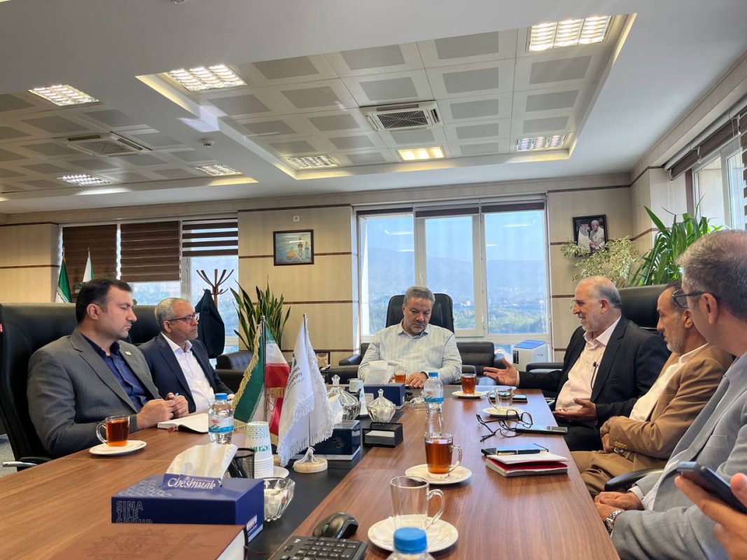 نشست توسعه همکاری های معدنی